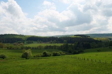 Am Naturschutzgebiet Marschallshagen und Nonnenholz mit oberem Altenautal | Michael Breker